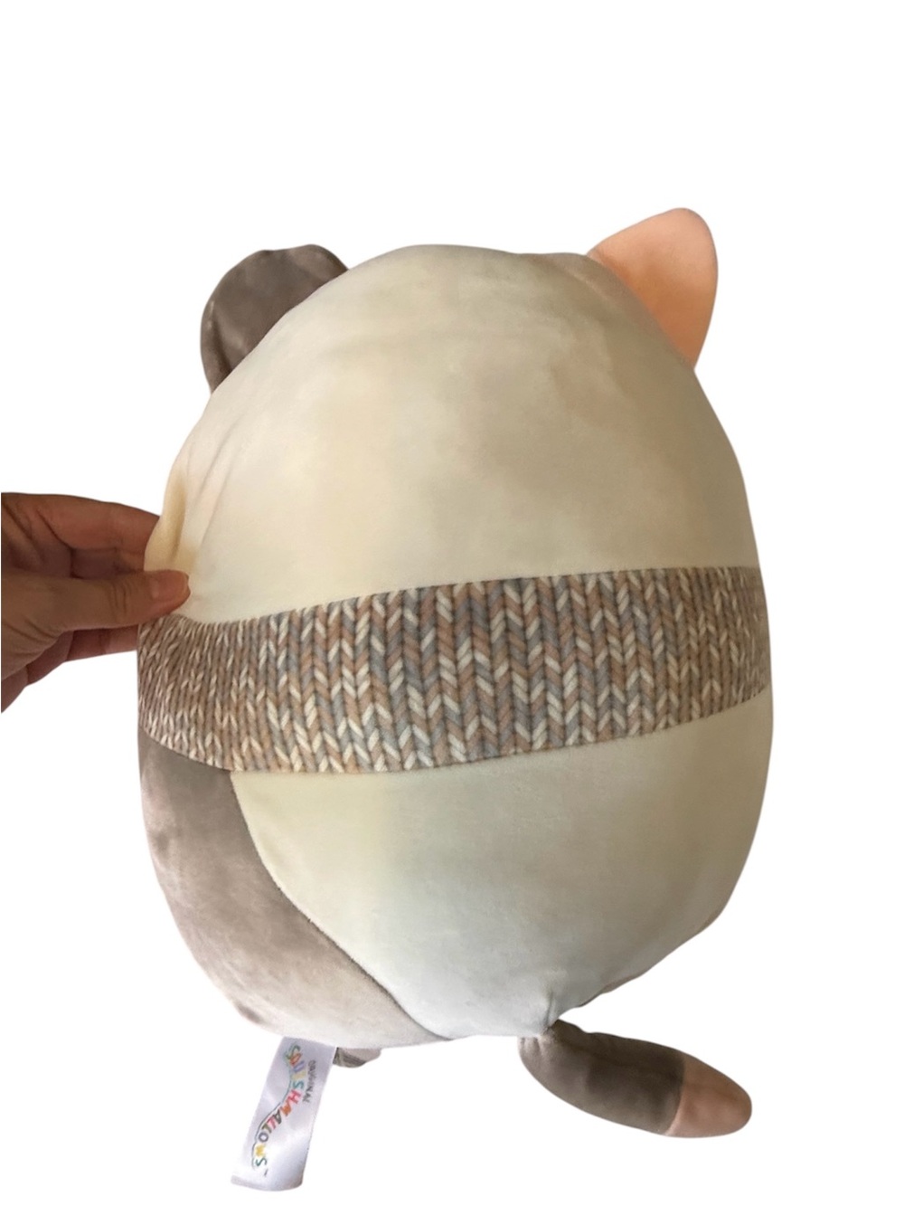 Squishmallow Camette The Cat 12 in - Picture 5 of 7